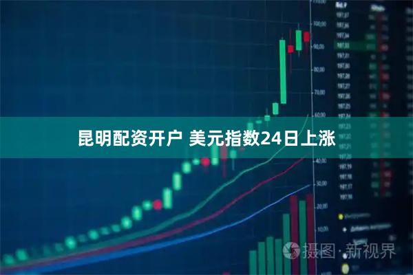 昆明配资开户 美元指数24日上涨